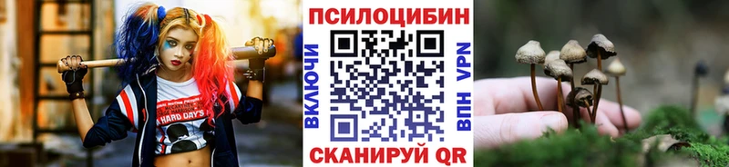 Галлюциногенные грибы мицелий Елизаветинская